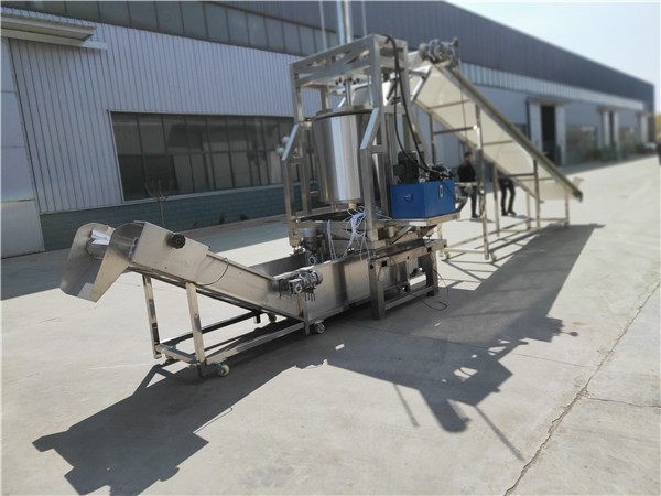 全自動壓榨機